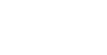 Michigan State University logo with Spartan helmet.